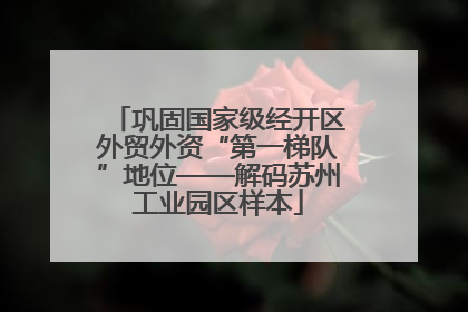 巩固国家级经开区外贸外资“第一梯队”地位——解码苏州工业园区样本