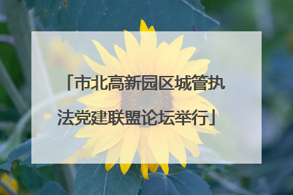 市北高新园区城管执法党建联盟论坛举行