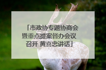 市政协专题协商会暨重点提案督办会议召开 黄喜忠讲话