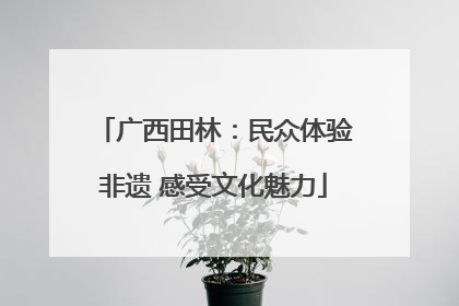 广西田林：民众体验非遗 感受文化魅力