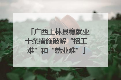 广西上林县稳就业十条措施破解“招工难”和“就业难”
