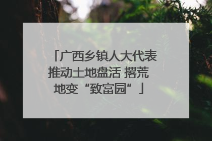 广西乡镇人大代表推动土地盘活 撂荒地变“致富园”