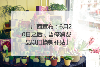 广西宣布：6月20日之后，暂停消费品以旧换新补贴