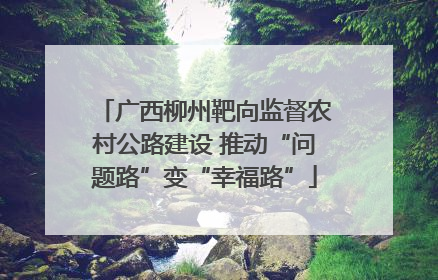 广西柳州靶向监督农村公路建设 推动“问题路”变“幸福路”