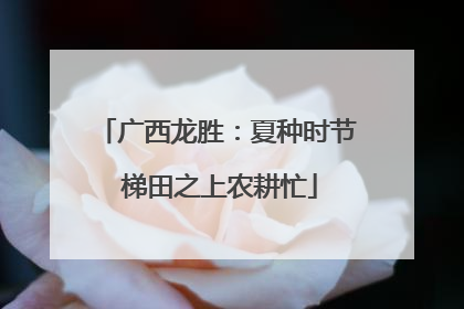 广西龙胜：夏种时节 梯田之上农耕忙