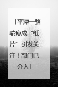 平潭一骆驼瘦成“纸片”引发关注！部门已介入
