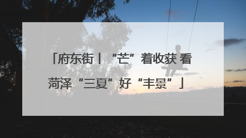 府东街丨“芒”着收获 看菏泽“三夏”好“丰景”