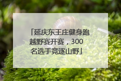 延庆东王庄健身跑越野赛开赛，300名选手竞逐山野