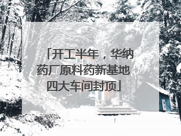 开工半年，华纳药厂原料药新基地四大车间封顶