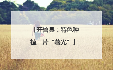 开鲁县：特色种植一片“薯光”