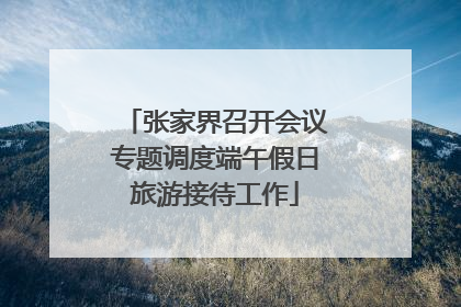 张家界召开会议专题调度端午假日旅游接待工作