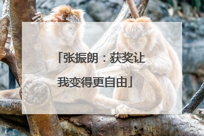 张振朗：获奖让我变得更自由