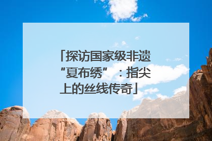 探访国家级非遗“夏布绣”：指尖上的丝线传奇