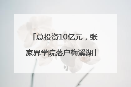 总投资10亿元，张家界学院落户梅溪湖