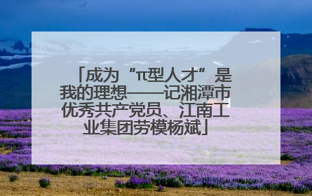 成为“π型人才”是我的理想——记湘潭市优秀共产党员、江南工业集团劳模杨斌