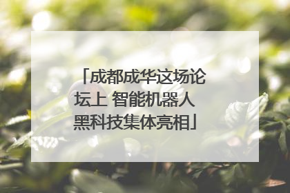 成都成华这场论坛上 智能机器人黑科技集体亮相