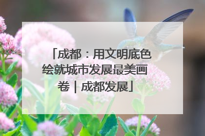 成都：用文明底色绘就城市发展最美画卷｜成都发展