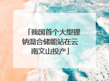 我国首个大型锂钠混合储能站在云南文山投产