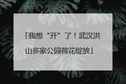 我想“开”了！武汉洪山多家公园荷花绽放