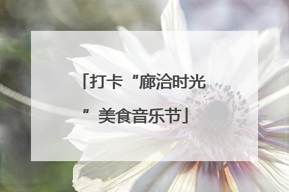 打卡“廊洽时光”美食音乐节