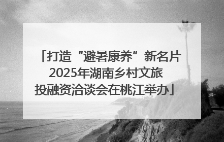 打造“避暑康养”新名片 2025年湖南乡村文旅投融资洽谈会在桃江举办