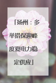 扬州：多举措保迎峰度夏电力稳定供应