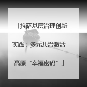 拉萨基层治理创新实践：多元共治激活高原“幸福密码”