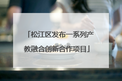 松江区发布一系列产教融合创新合作项目