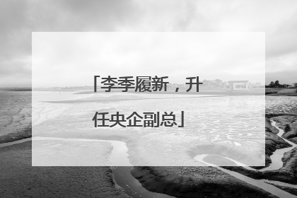 李季履新，升任央企副总