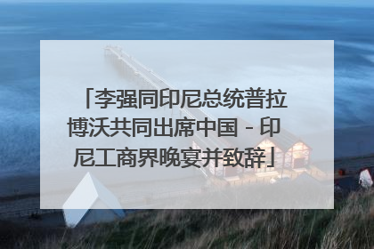李强同印尼总统普拉博沃共同出席中国－印尼工商界晚宴并致辞