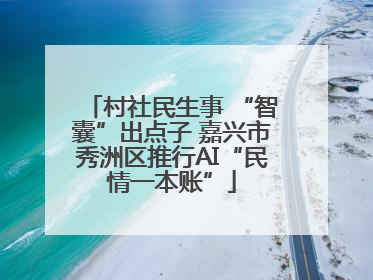村社民生事 “智囊”出点子 嘉兴市秀洲区推行AI“民情一本账”