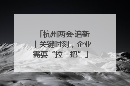 杭州两会·追新丨关键时刻，企业需要“拉一把”