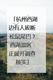 杭州西湖边有人拔断松鼠尾巴？西湖景区：正展开调查核实