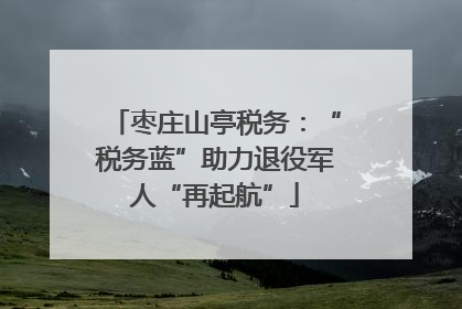枣庄山亭税务：“税务蓝”助力退役军人“再起航”