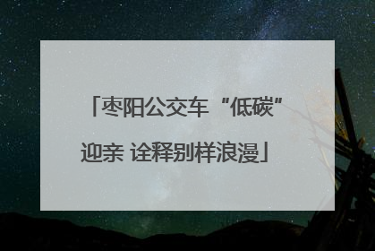 枣阳公交车“低碳”迎亲 诠释别样浪漫