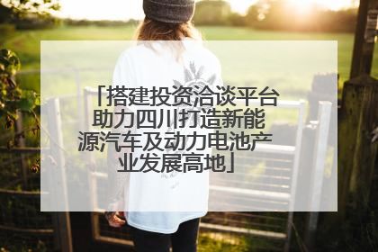 搭建投资洽谈平台 助力四川打造新能源汽车及动力电池产业发展高地