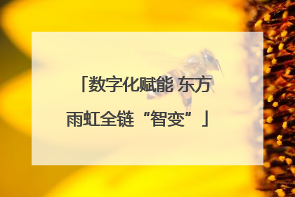 数字化赋能 东方雨虹全链“智变”