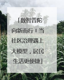 数智普陀 向新而行〡当社区治理遇上大模型，居民生活更便捷