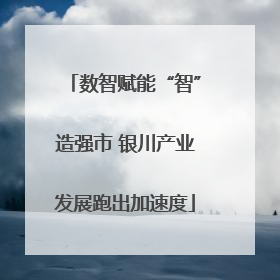 数智赋能“智”造强市 银川产业发展跑出加速度