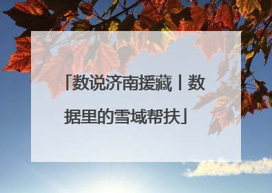 数说济南援藏丨数据里的雪域帮扶