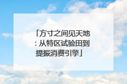 方寸之间见天地：从特区试验田到提振消费引擎