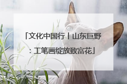 文化中国行丨山东巨野：工笔画绽放致富花