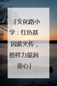 文化路小学：红色基因薪火传，榜样力量润童心