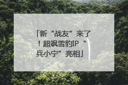 新“战友”来了！超飒雪豹IP“兵小宁”亮相