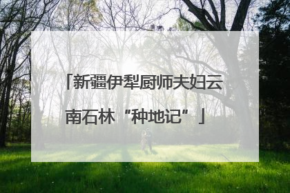 新疆伊犁厨师夫妇云南石林“种地记”