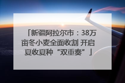 新疆阿拉尔市：38万亩冬小麦全面收割 开启夏收夏种“双重奏”