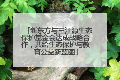 新东方与三江源生态保护基金会达成战略合作，共绘生态保护与教育公益新蓝图