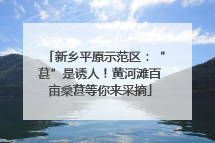 新乡平原示范区：“葚”是诱人！黄河滩百亩桑葚等你来采摘