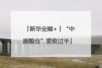 新华全媒+丨“中原粮仓”麦收过半