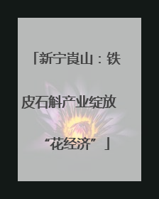 新宁崀山：铁皮石斛产业绽放“花经济”